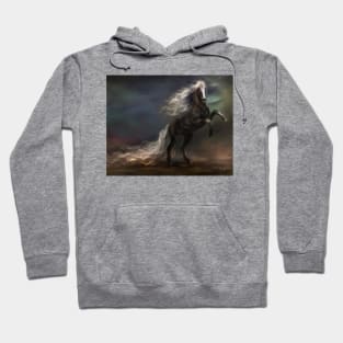 Horse picture of t-shirts Hoodie